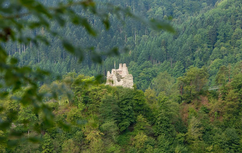 Hotel Winterhaldenhof Schenkenzell ภายนอก รูปภาพ